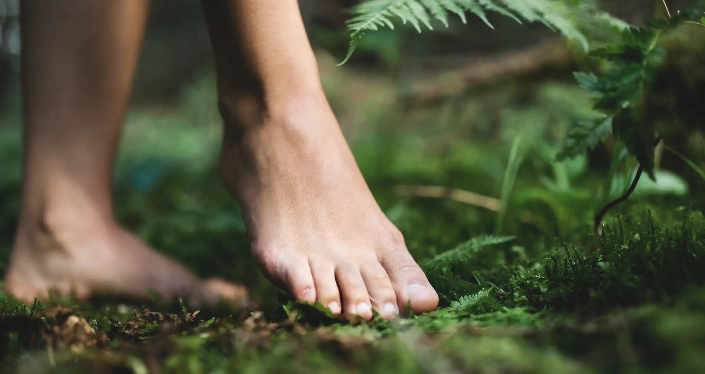 Foot in nature