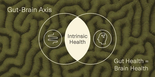 Gut brain axis equals intrinsic health