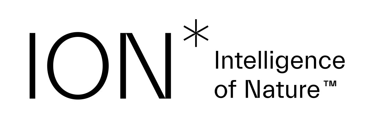 ION* Primary Logo Flat Black (JPG)
