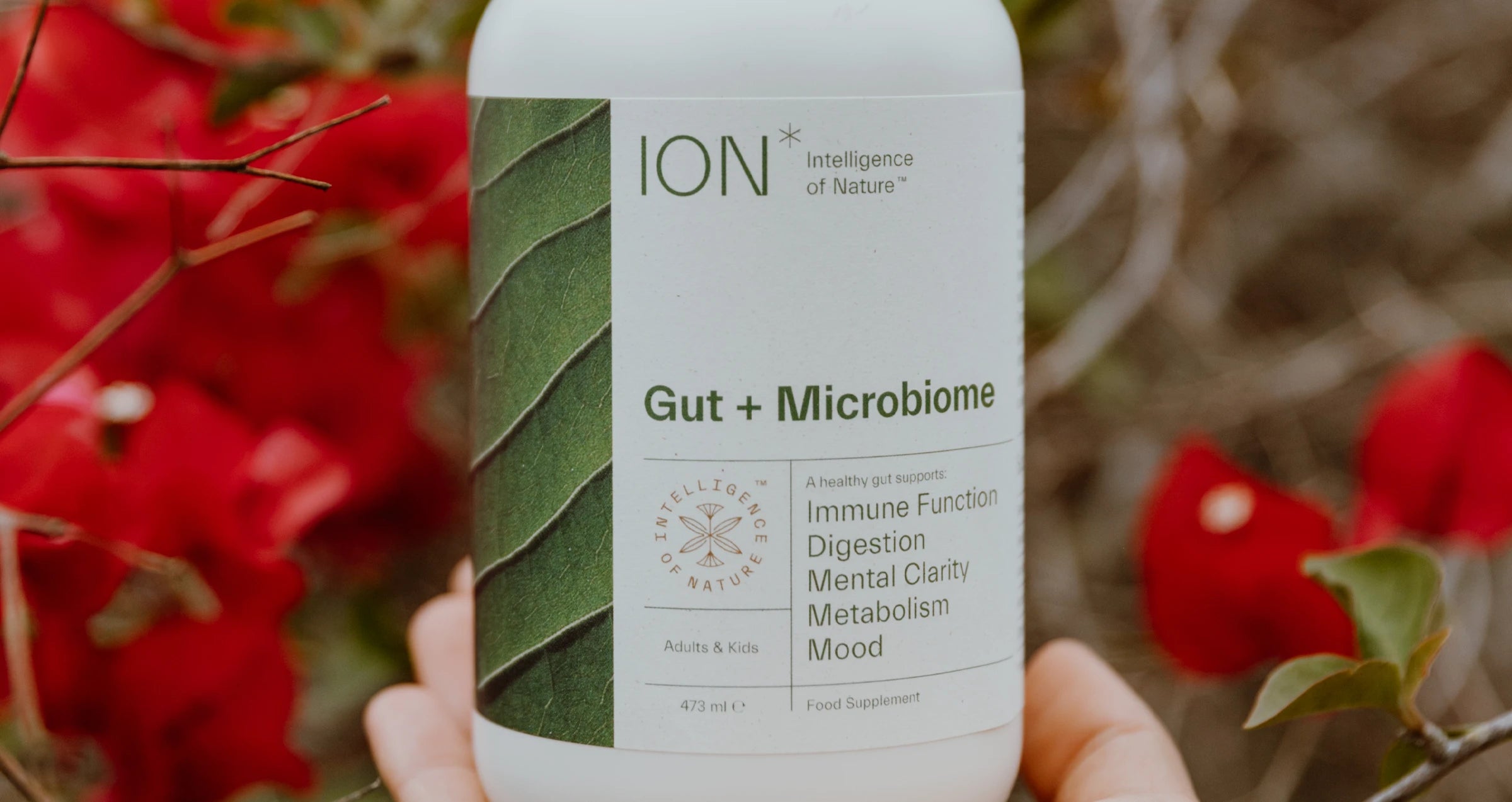 ION* Gut + Microbiome