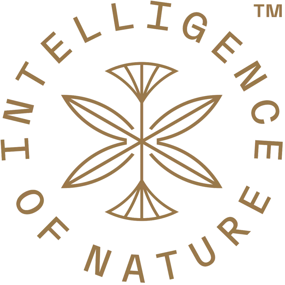 ION Intelligence of Nature Logo
